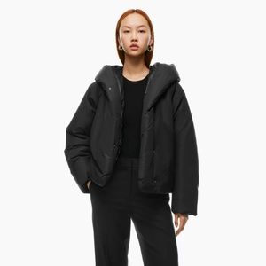 Aritzia Dome Puffer